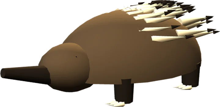 Short-beaked echidna